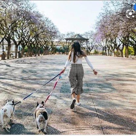 La Estacion * Jerez de la Frontera