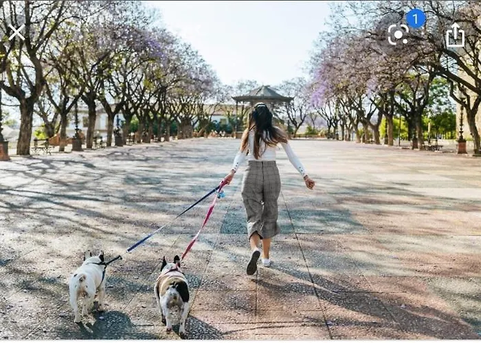 La Estacion * Jerez de la Frontera
